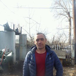 �������, �����������, 50 ���