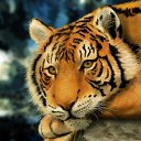 ���� ��������, ����� - ��������� 19 ���� 2017 � ������ ������ ��������