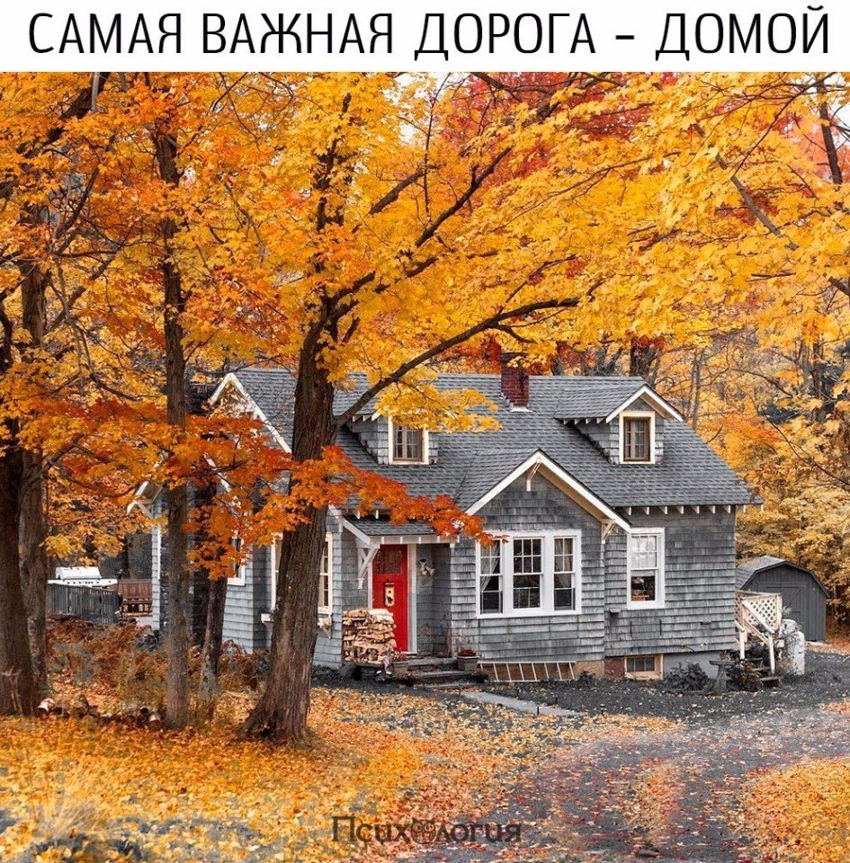 Психология - 23 сентября 2017 в 13:43