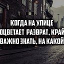 ���� San Sei, ������� - ��������� 8 ������ 2017 � ������ ���� ����������