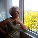 ���� ������, ���������, 76 ��� - ��������� 29 ������� 2017 � ������ ���� ����������