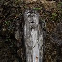 ���� ����, �������, 66 ��� - ��������� 20 �������� 2017 � ������ ��������-������ ����.�