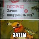  Sunrise,  -  5  2017    