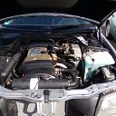 ���� Alexander, ��������, 49 ��� - ��������� 15 ������ 2017 � ������ �������