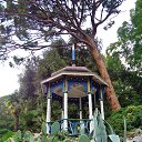  , , 60  -  24  2017   ,&quot;   ..&quot; ,22.10.17