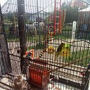  , -, 38  -  28  2017    