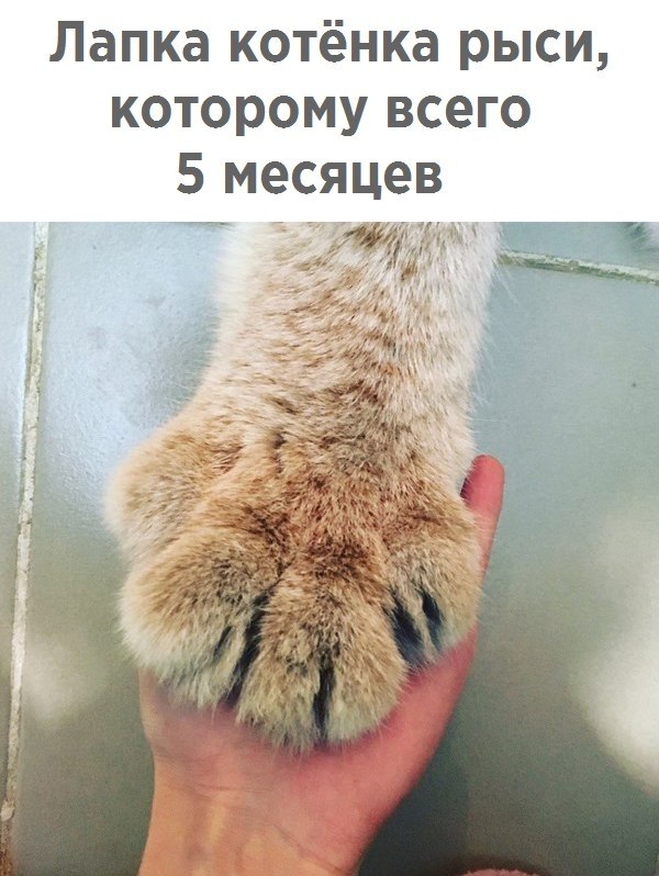  Just Business - 3  2017  20:27