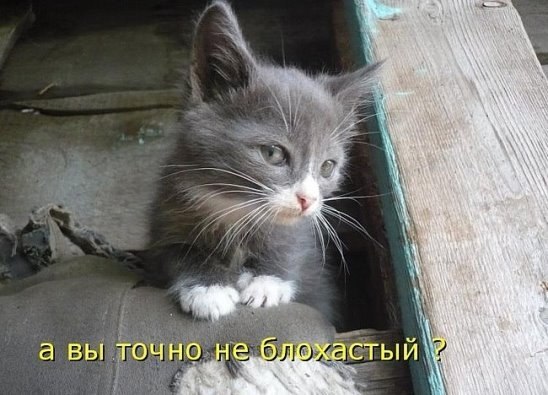    - 1  2017  08:11