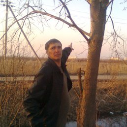 ���� ���������, �����-���������, 49 ��� - ��������� 21 ��� 2017