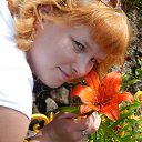 ���� �������, �����-���������, 38 ��� - ��������� 27 ���� 2017 � ������ ���� ����������