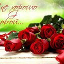 ���� �����, ������, 47 ��� - ��������� 20 ���� 2017 � ������ ���� ����������