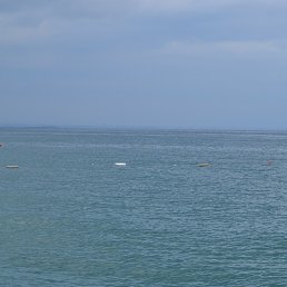 �����, ������, 47 ���