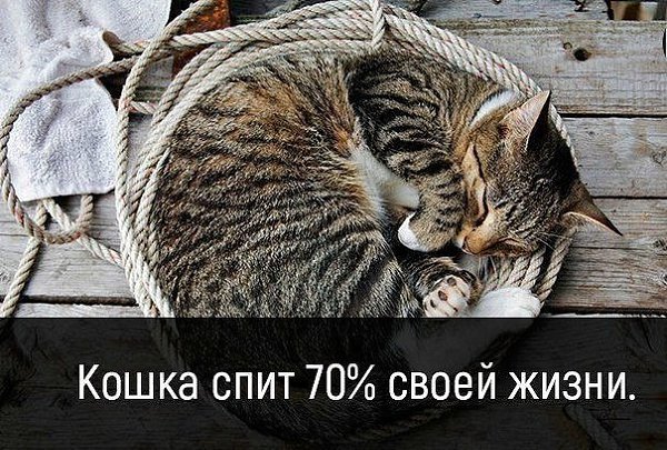       - 27  2017  23:09