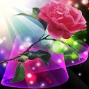 ���� ����, ��������, 58 ��� - ��������� 29 ������� 2017