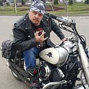 ���� �����, ������, 44 ���� - ��������� 11 ������ 2017 � ������ ������ ��������