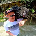 ���� �����, ���� - ��������� 9 ������ 2017 � ������ ���� ����������