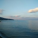  , , 56  -  7  2017    2017