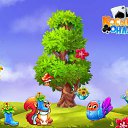 ���� �����, ������ - ��������� 5 ������ 2017 � ������ �������� �������-�������