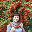 ���� �����, �������� - ��������� 26 ������� 2017