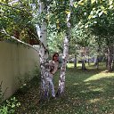 ���� �������, ������������, 65 ��� - ��������� 3 �������� 2017 � ������ ���� ����������