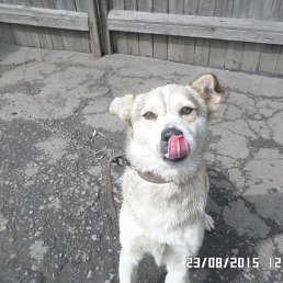 �, �������, 40 ���