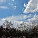  , , 60  -  23  2017    - 2017