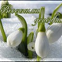 ���� �������, �������� - ��������� 1 ��� 2017 � ������ ������ ��������