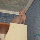 ���� �����, ������, 48 ��� - ��������� 10 ���� 2017 � ������ ���������