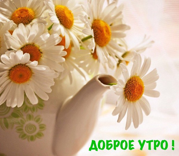 Утра чудесного, солнечно-ясного, Светлого, доброго, радость дарящего. Всем настроения только ...