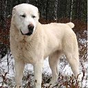 ���� ������, ������, 39 ��� - ��������� 4 �������� 2017 � ������ ���� ����������