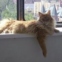 ���� ��������, �������������� - ��������� 10 ���� 2017 � ������ ���� ����������