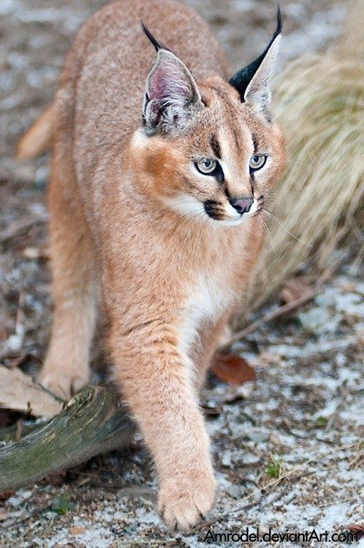       - 20  2017  14:08 - 3