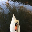 ���� ���������, ��������, 58 ��� - ��������� 5 ������ 2017 � ������ ���� ����������