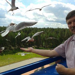 ������, ������, 65 ���