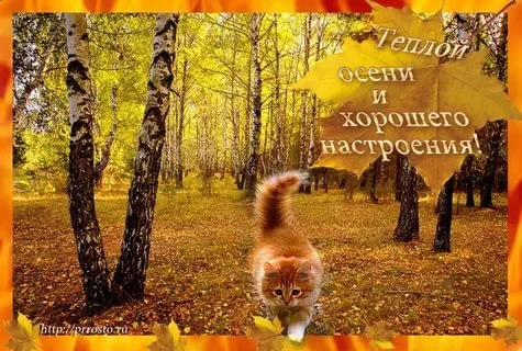 ~Dasha~ - 2  2017  18:03