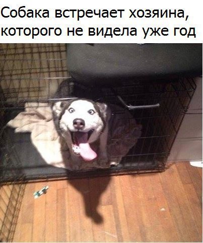����� �������� - 9 ������ 2017 � 14:12