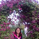 ���� �����, ������, 48 ��� - ��������� 31 ������� 2017 � ������ ����� - ����� 2017�