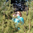 ���� ������, ������������, 63 ���� - ��������� 17 ���� 2017 � ������ ���� ����������