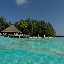 ����, ����, 38 ���