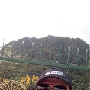 ���� ����, �������, 46 ��� - ��������� 3 ������ 2017 � ������ ���� ����������