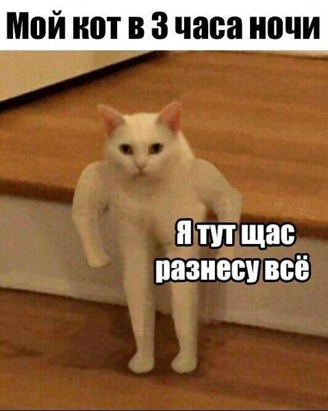  - 9  2017  22:05