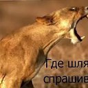 ���� ������, �����-���������, 38 ��� - ��������� 12 ������ 2017 � ������ ���� ����������