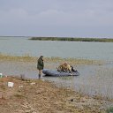 ���� ��������, ���������, 59 ��� - ��������� 8 ������ 2017 � ������ ���� ����������