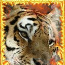 ���� ����, ������, 45 ��� - ��������� 18 ���� 2017 � ������ ���� ����������