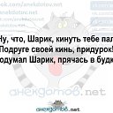 ���� ���������, ������������, 43 ���� - ��������� 13 ������ 2017 � ������ ���� ����������