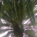 ���� Raisa, ��������� - ��������� 10 ������ 2017 � ������ �Untitled Album�