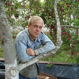 ���� �����, ���������, 45 ��� - ��������� 3 ���� 2017