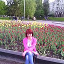 ���� ������, ������������, 53 ���� - ��������� 27 ��� 2017 � ������ ���� ����������