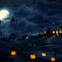 ���� ����, ����� - ��������� 31 ������� 2017 � ������ ������ ��������