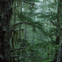 ���� �������, ������, 59 ��� - ��������� 31 ������� 2017